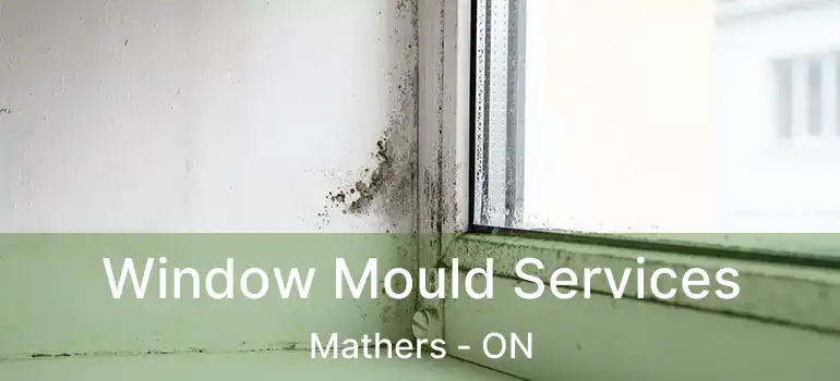  Window Mould Services Mathers - ON