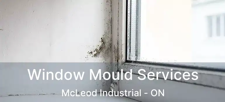  Window Mould Services McLeod Industrial - ON