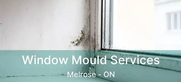  Window Mould Services Melrose - ON