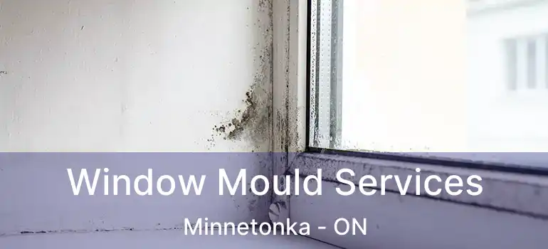  Window Mould Services Minnetonka - ON