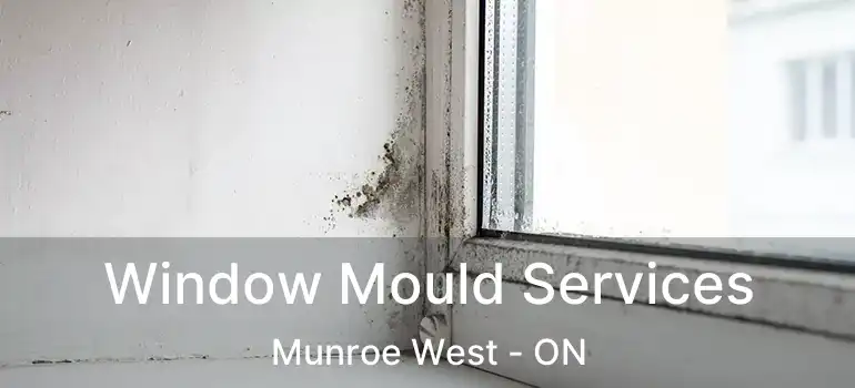  Window Mould Services Munroe West - ON