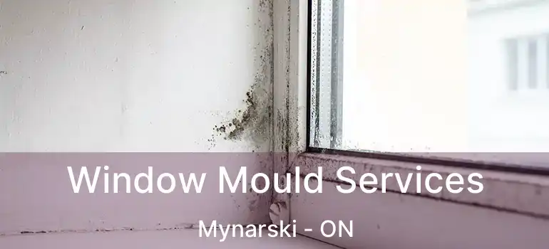  Window Mould Services Mynarski - ON