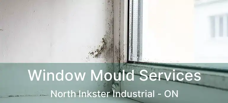  Window Mould Services North Inkster Industrial - ON