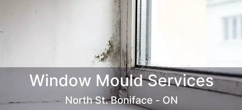  Window Mould Services North St. Boniface - ON