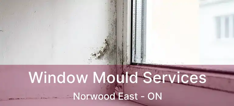  Window Mould Services Norwood East - ON