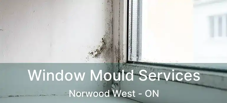  Window Mould Services Norwood West - ON