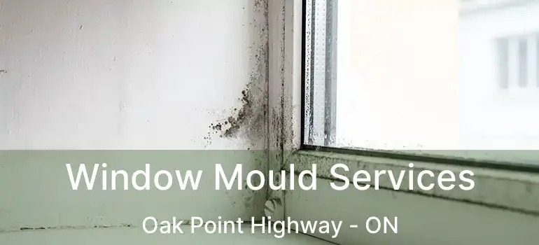  Window Mould Services Oak Point Highway - ON