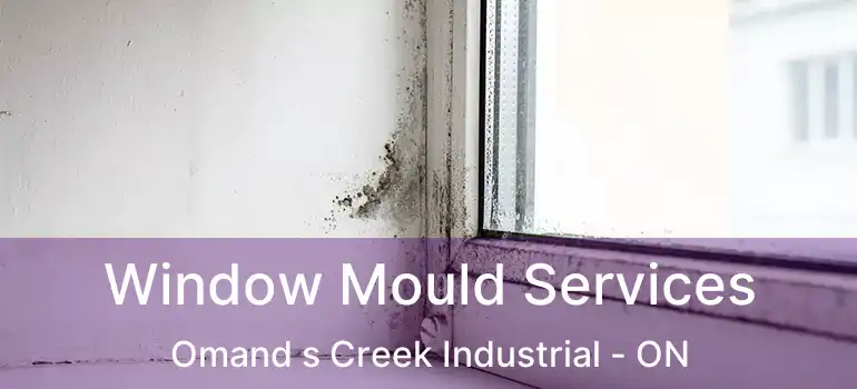  Window Mould Services Omand s Creek Industrial - ON