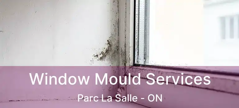  Window Mould Services Parc La Salle - ON