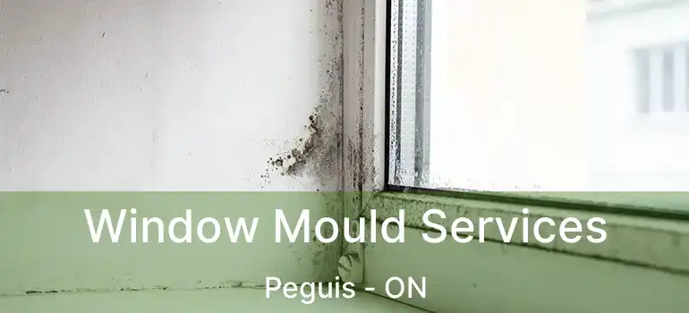 Window Mould Services Peguis - ON
