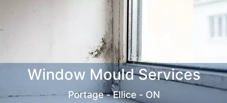  Window Mould Services Portage - Ellice - ON