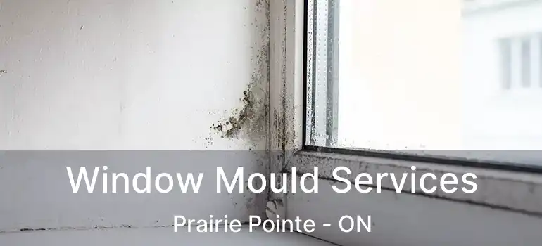  Window Mould Services Prairie Pointe - ON