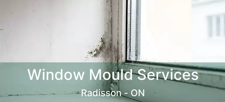  Window Mould Services Radisson - ON