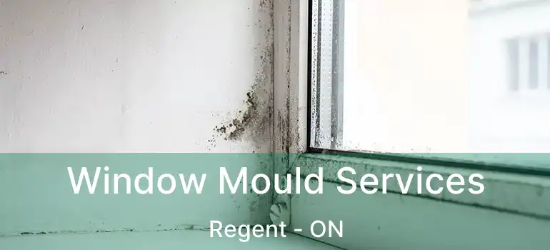  Window Mould Services Regent - ON