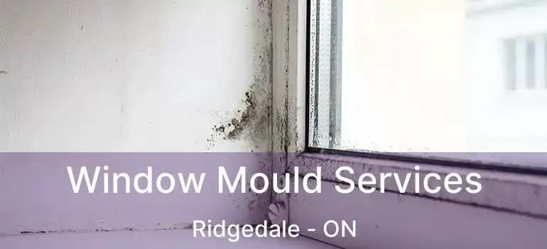  Window Mould Services Ridgedale - ON