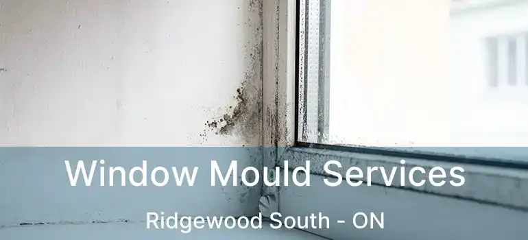  Window Mould Services Ridgewood South - ON