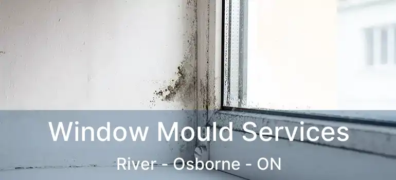  Window Mould Services River - Osborne - ON