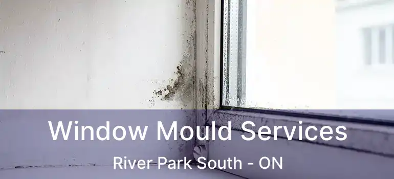  Window Mould Services River Park South - ON