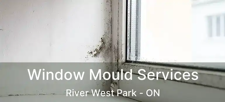  Window Mould Services River West Park - ON