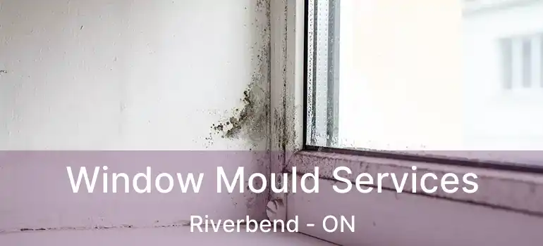  Window Mould Services Riverbend - ON