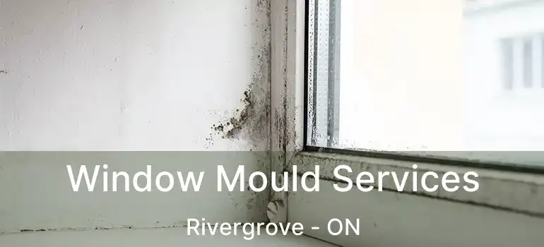 Window Mould Services Rivergrove - ON