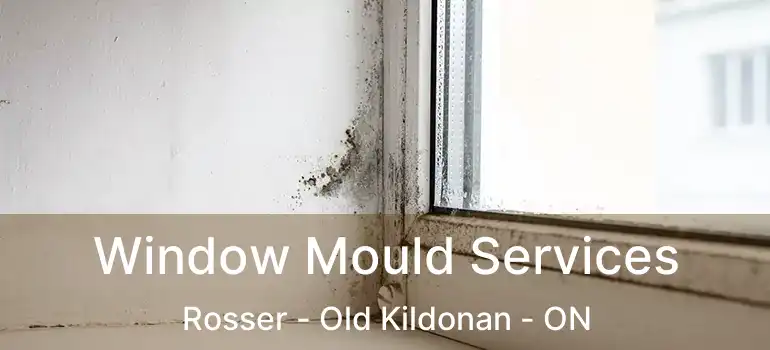  Window Mould Services Rosser - Old Kildonan - ON