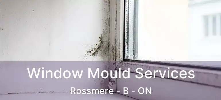  Window Mould Services Rossmere - B - ON