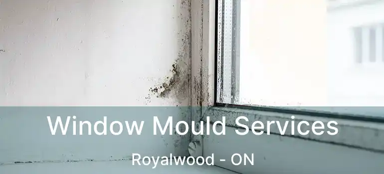  Window Mould Services Royalwood - ON