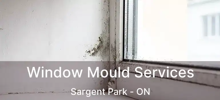  Window Mould Services Sargent Park - ON