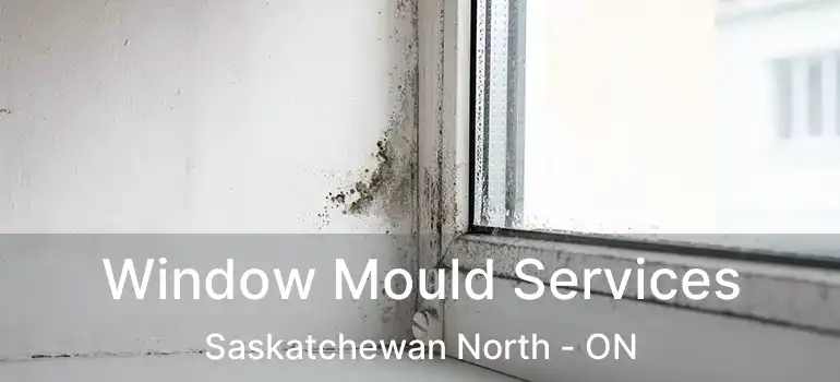  Window Mould Services Saskatchewan North - ON