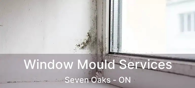 Window Mould Services Seven Oaks - ON