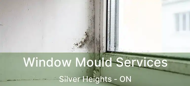  Window Mould Services Silver Heights - ON