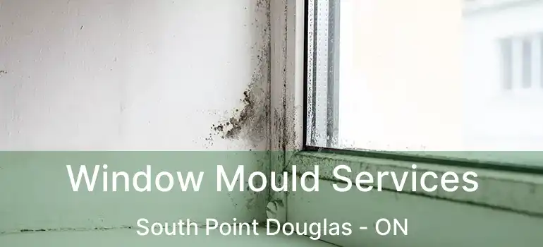  Window Mould Services South Point Douglas - ON
