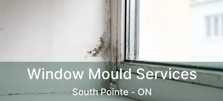  Window Mould Services South Pointe - ON