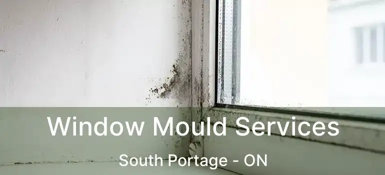  Window Mould Services South Portage - ON