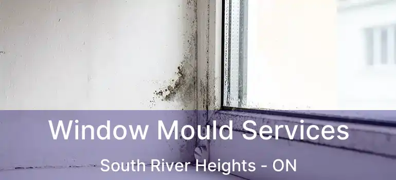  Window Mould Services South River Heights - ON