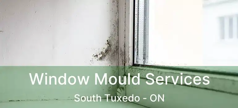  Window Mould Services South Tuxedo - ON