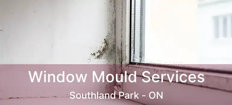  Window Mould Services Southland Park - ON