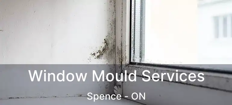  Window Mould Services Spence - ON