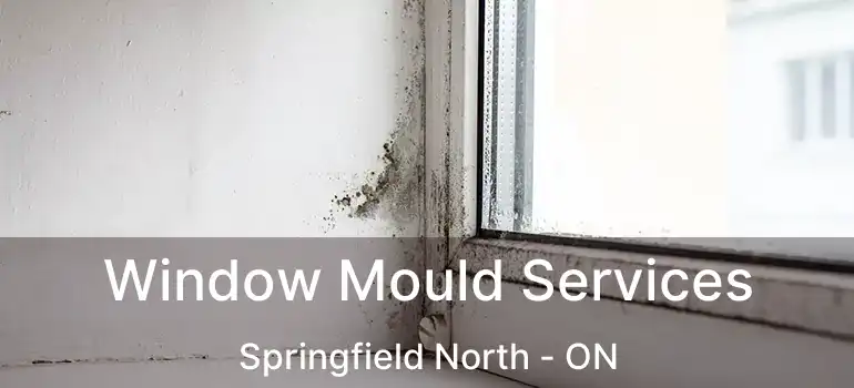  Window Mould Services Springfield North - ON