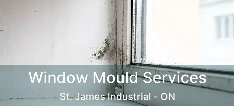  Window Mould Services St. James Industrial - ON