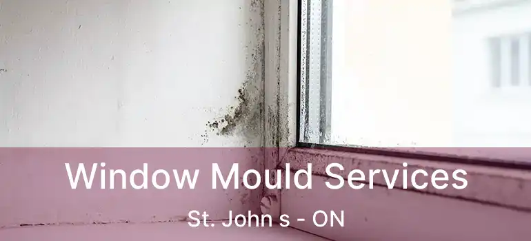  Window Mould Services St. John s - ON