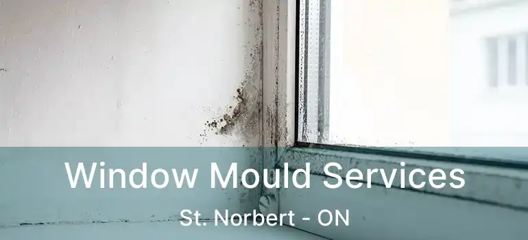  Window Mould Services St. Norbert - ON