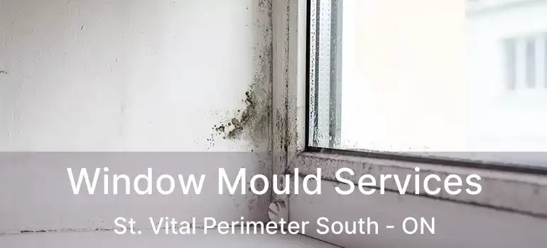  Window Mould Services St. Vital Perimeter South - ON