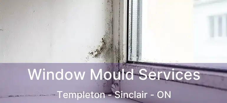  Window Mould Services Templeton - Sinclair - ON