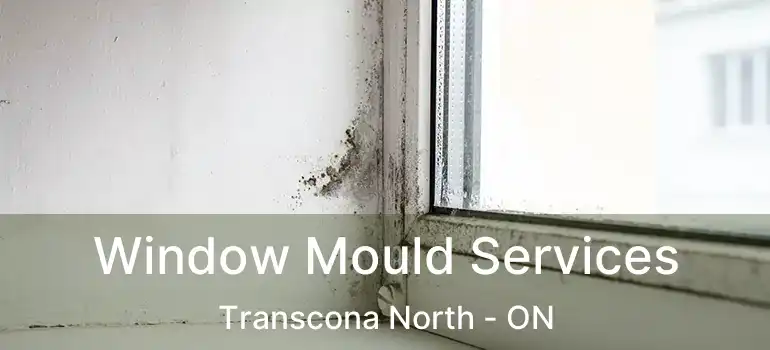  Window Mould Services Transcona North - ON