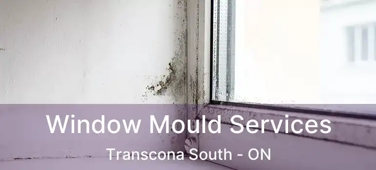  Window Mould Services Transcona South - ON