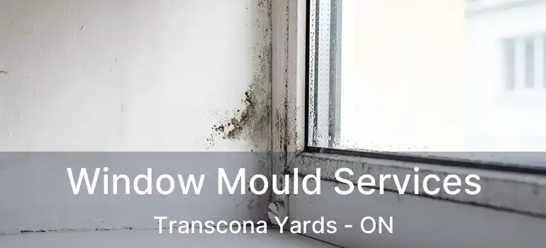 Window Mould Services Transcona Yards - ON
