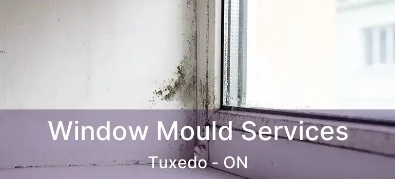  Window Mould Services Tuxedo - ON