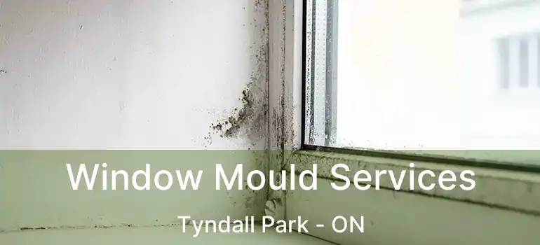  Window Mould Services Tyndall Park - ON